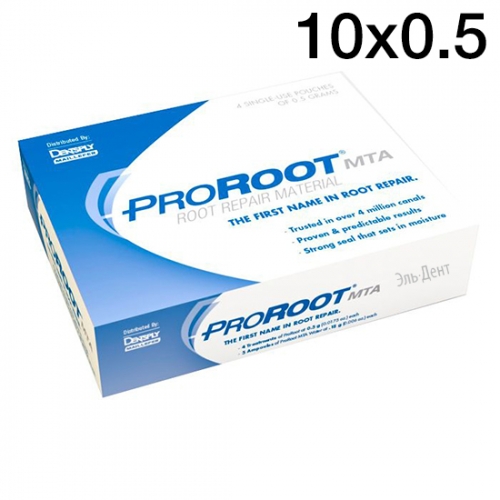 Pro Root Dentsply (100.5)     