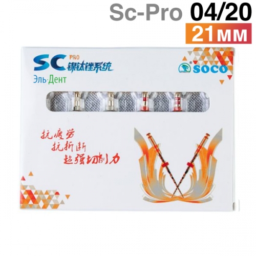      SC-Pro 04/20, 21. (6.) SOCO 