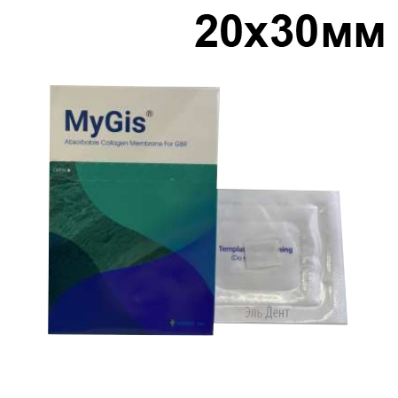 �������� ����������������� MYGIS (20�30��.) ������������ ���������������. MYGIS