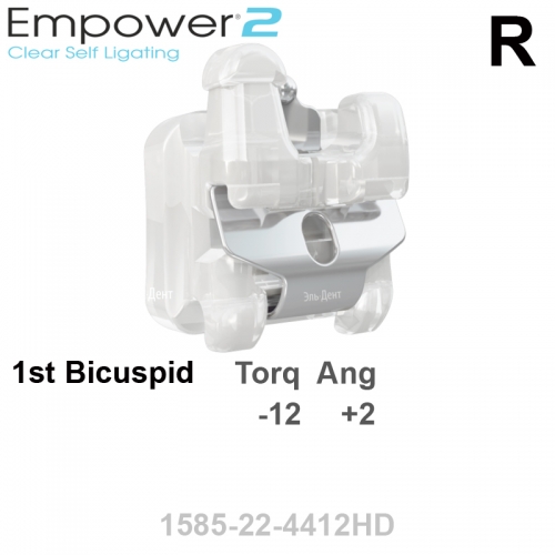 ������ SL EMPOWER CLEAR passive 022 LR 1st bicuspid HK Distal (1��), MBT Systems