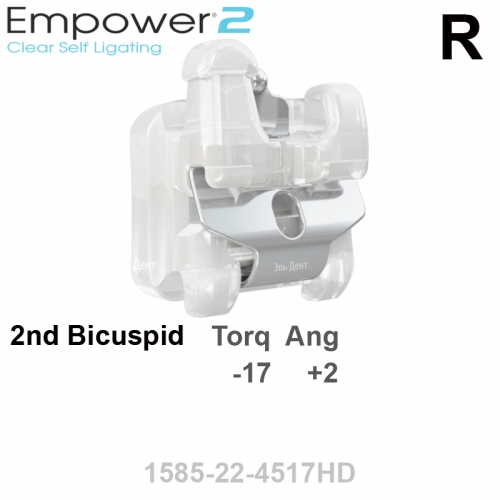 ������ SL EMPOWER CLEAR passive 022 LR 2st bicuspid HK Distal (1��), MBT Systems