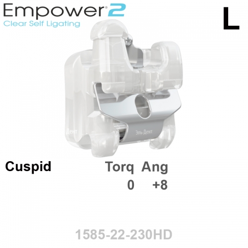 ������ SL EMPOWER CLEAR passive 022 UL cuspid HK Distal (1��), MBT Systems