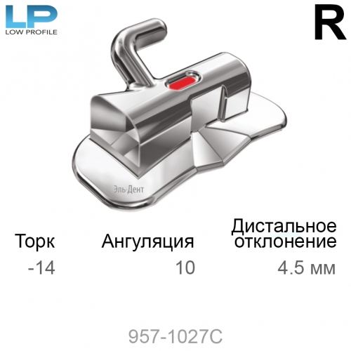 �����-������ LP LP 018 UR 1st bicuspid (1 ��)