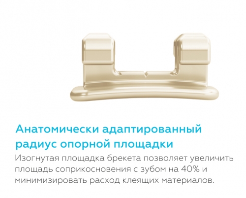 /UserFiles/Image/img22200_19772.jpg