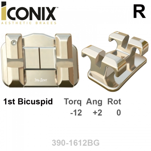 ������ ICONIX MINI MS 022 LR 1st bicuspid HK Distal (1��), MBT Systems