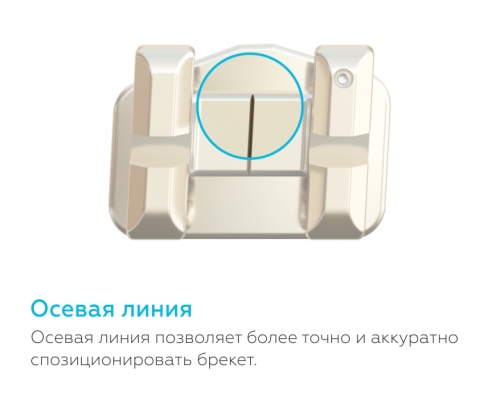 /UserFiles/Image/img22217_10295.jpg