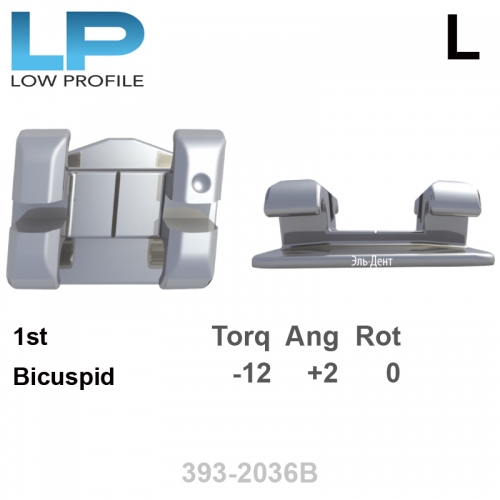 ������ LP 022 LL 1st bicuspid HK Distal (1��), MBT Systems