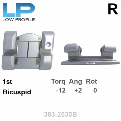 ������ LP 022 LR 1st bicuspid HK Distal (1��), MBT Systems