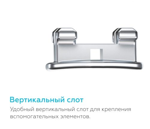 /UserFiles/Image/img22248_10073.jpg