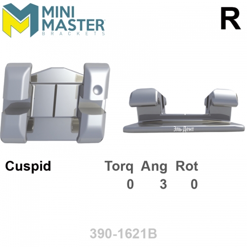 ������ MINI MASTER 022 LR cuspid HK Distal (1��), MBT Systems