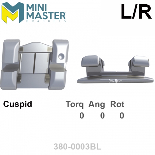 ������ MINI MASTER 018 UL/LR cuspid (1��), Standard Edgewise Systems