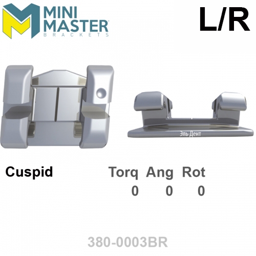 ������ MINI MASTER 018 UR/LL cuspid (1��), Standard Edgewise Systems