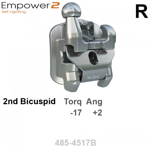 ������ SL EMPOWER 022 LR 2st bicuspid HK Distal (1��), MBT System INTERACTIVE