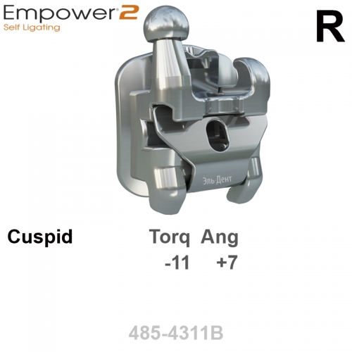 ������ SL EMPOWER 022 LR cuspid HK Distal (1��), Roth Systems INTERACTIVE
