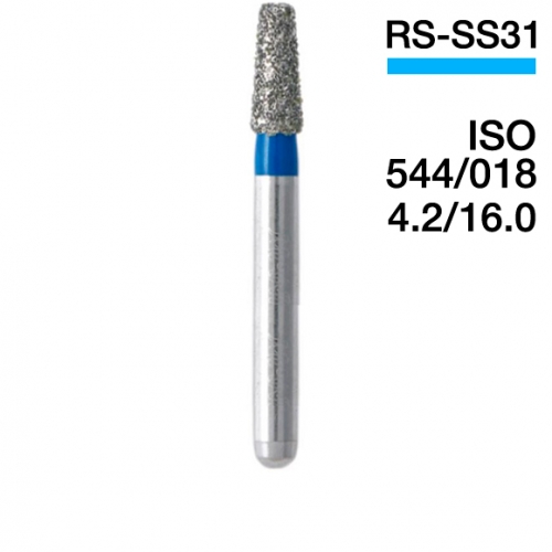   RS-SS31 (5 .)