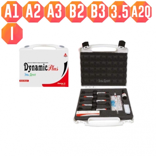 Dynamic Plus Standart Kit (8.4, , .), President Dental Germani