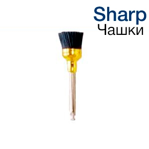   Kagayaki Sharp   10 . (. 1113)